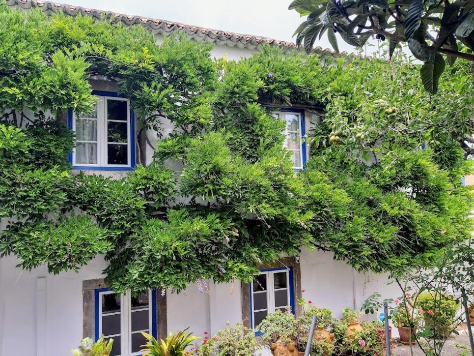 Vila Casa Do Sobral Обідуш Екстер'єр фото